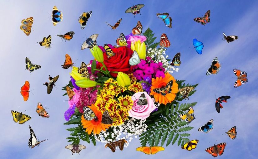 Schmetterling Im Bauch