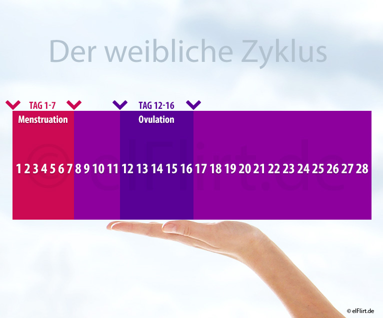 Fruchtbare Tage Wann Kann Frau Eine Schwanger Werden Elflirt De